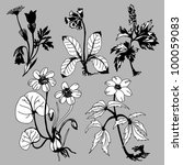 field flowerses on gray... | Shutterstock .eps vector #100059083