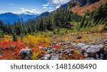 Fall Foliage, Yellow Aster Butte, North Cascades region, Mount Baker area