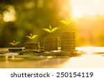 Money growing concept,Business success concept,Trees growing on pile of coins money over sun flare silhouette style