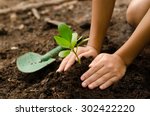 Planting young tree by kid hand on back soil as care and save wold concept