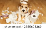 Small photo of Funny, active naughty dog after biting, chewing a toilet paper. Pet mischief, puppy training or separation anxiety banner.