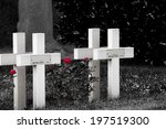 Red Roses And Cross On Cemetery ...
