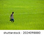 Small photo of Karbi Anglong,Assam,India, 10 Aguste 2021:An Indian farmer in rice paddy field with farming tool