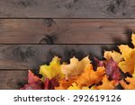 original autumn foliage in different colors on wooden floor
