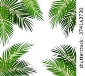 Palm Leaf Vector Background...
