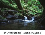 Clear Mountain Stream In The...