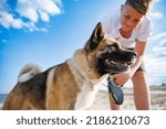 Small photo of Teenage guy with blond hair and leash in hands plays and walks with dog of Akina Inu breed on wild beach along Black Sea