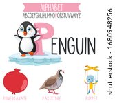 Illustrated Alphabet Letter And ...