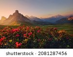 view of sunset in summer on Passo di Giau with mount Ra Gusela on background and rhododendrons on foreground, Colle Santa Lucia, Dolomites, Italy