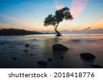 Lonely Tree At Sunrise In The...