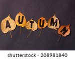autumn leaves | Shutterstock . vector #208981840