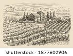 vineyard landscape sketch. hand ... | Shutterstock .eps vector #1877602906
