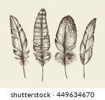 hand drawn vintage bird... | Shutterstock .eps vector #449634670