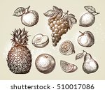 Collection Fruits Sketch. Hand...