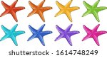 Many Starfish In Different...