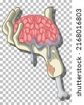 creepy hand holding brain... | Shutterstock .eps vector #2168016803