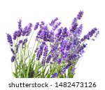 Bunch Of Fresh Lavender Flowers ...