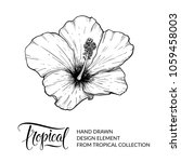 hibiscus. tropical flower... | Shutterstock .eps vector #1059458003