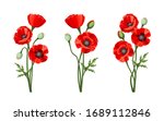 Vector Red Poppies Isolated On...