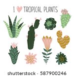Collection Of Tropical Plants ...