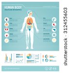 human body health care... | Shutterstock .eps vector #312455603