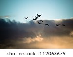 Flock Of Flying Geese Silhouette