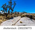 Granite Boulders With Teutonia Peak, Mojave National Preserve, California, USA