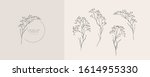 limonium  babys breath logo and ... | Shutterstock .eps vector #1614955330