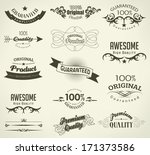 calligraphic design elements... | Shutterstock . vector #171373586