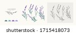 lavender logo and branch. hand... | Shutterstock .eps vector #1715418073