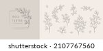 silver dollar eucalyptus logo... | Shutterstock .eps vector #2107767560
