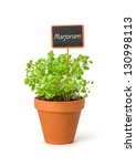 Marjoram In A Clay Pot With A...
