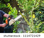 Man With Chainsaw Cutting The...