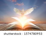 Small photo of White pigeons fly out of books that are flicked by the wind in beautiful light on sunset background.freedom concept and international day of peace