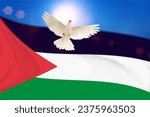 White Dove flying on Palestine flag and blue sky to independence , freedom ,Pray for Palestine and No war concept