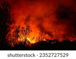 Small photo of Alexandroupoli - Greece, August 21, 2023 Forest fires in the prefecture of Evros in northern Greece in the biggest fire ever in Europe