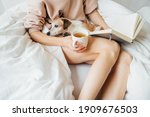 napping small dog on laps of slim woman in white comfortable bed. Holding book and cup of tea. Enjoying relaxed weekend mood with pet at home during quarantine. Pink hoodie jumper atmosphere of trust