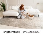 Small photo of Dog fetch ball toy playing with young ginger haired girl in gray clothes. Relaxed home weekend time with pet. Sunny spacious living room with white sofa and carpet girl sits on floor. Play time mood