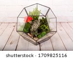 Glass Florarium Vase With...