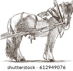 Sketch Of A Harnessed Workhorse
