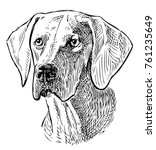 sketch portrait of a hunting dog | Shutterstock . vector #761235649