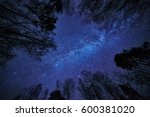 The Milky Way and deep blue night sky over the forest and trees surrounding the scene.