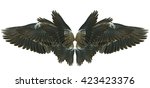 wings isolated on white | Shutterstock . vector #423423376