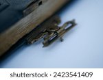 Small photo of OLD BOOK WITH IRON CLASP, KGIGA, CLASP, ANTIQUITY, SHEETS, PAPER, HISTORY, HISTORICAL, KEEP, KNOWLEDGE, HISTORICAL BOOK