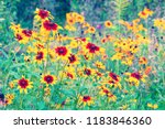 vintage flower background.... | Shutterstock . vector #1183846360