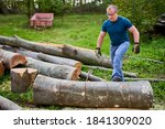 Small photo of Strong lumberjack manhandling the logs