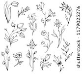 hand drawn garden herbs and... | Shutterstock .eps vector #1179025276