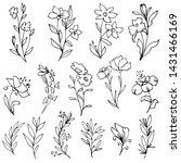 set of hand drawn flowers and... | Shutterstock .eps vector #1431466169