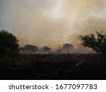  Bush Fire On South African...