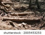 Small photo of TRANSVERSE WOODEN POSTS PUT ACROSS A HIKING TRAIL TO CURB EROSION